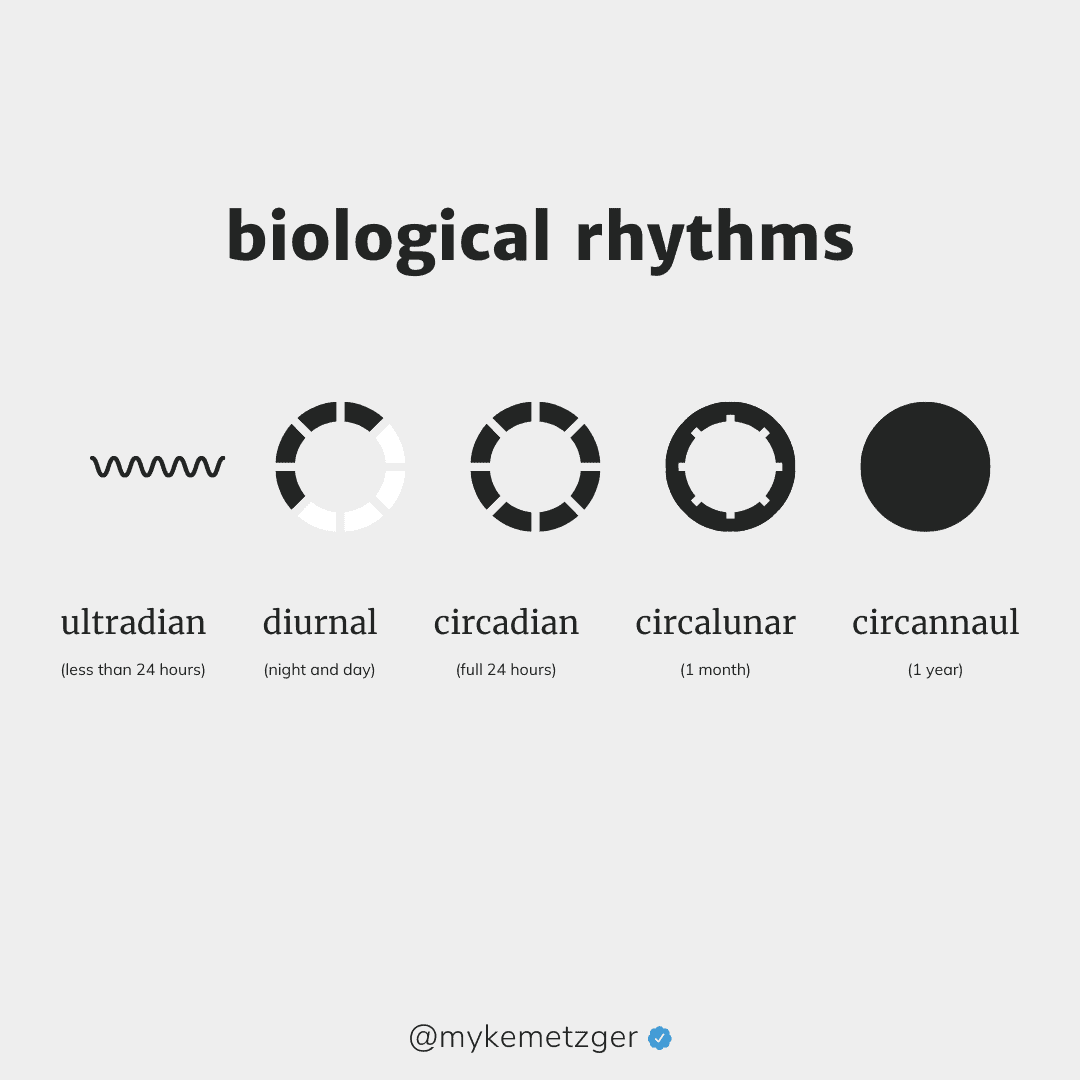Biological Rhythms of Life by Myke Metzger